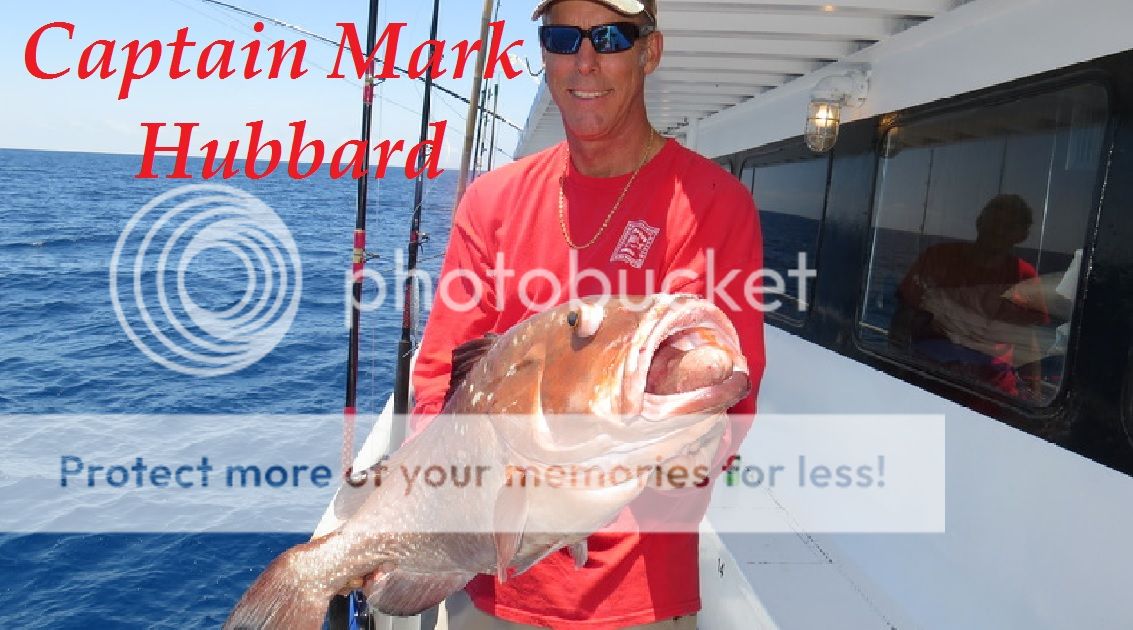 Serious Fishing for Serious Fishermen Bloodydecks